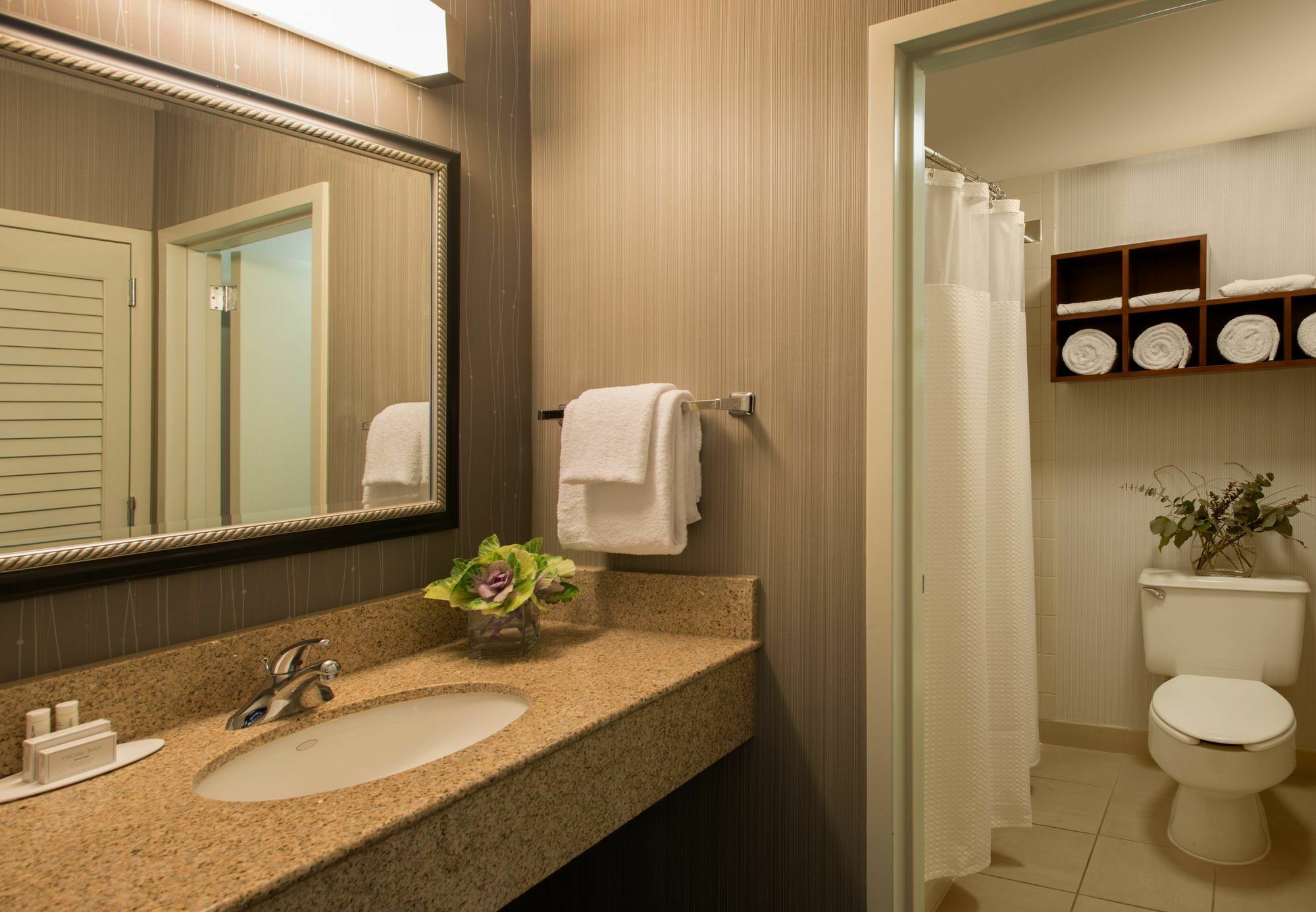 Courtyard Dallas Addison Midway Екстер'єр фото